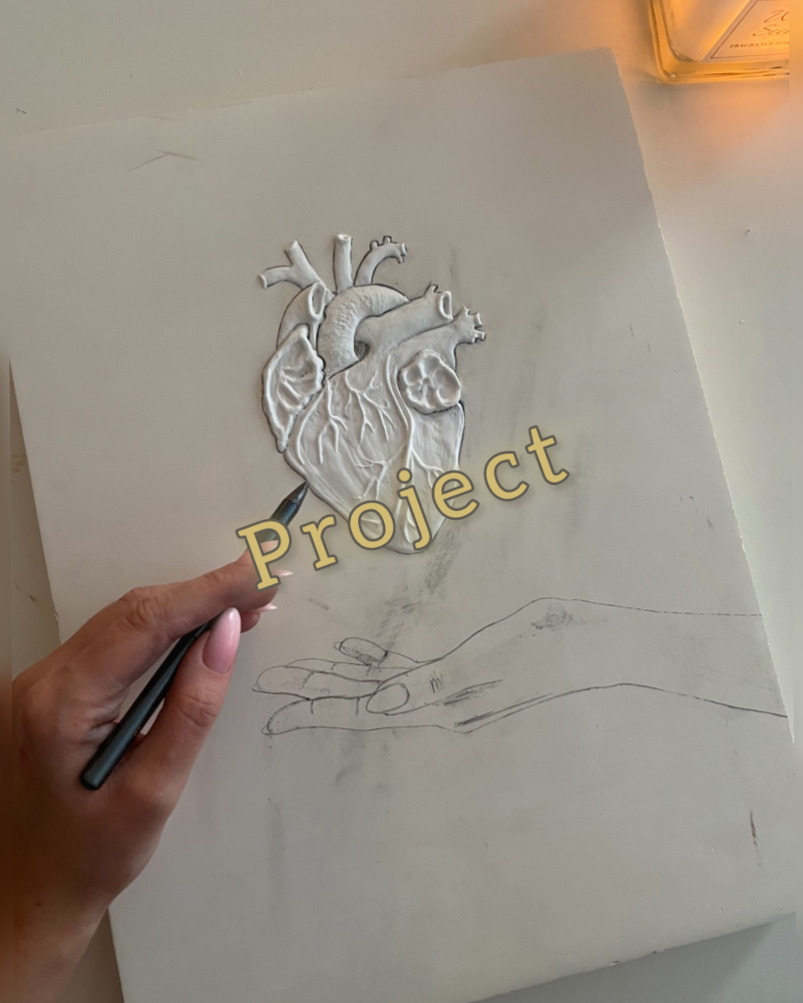 Gratitude project