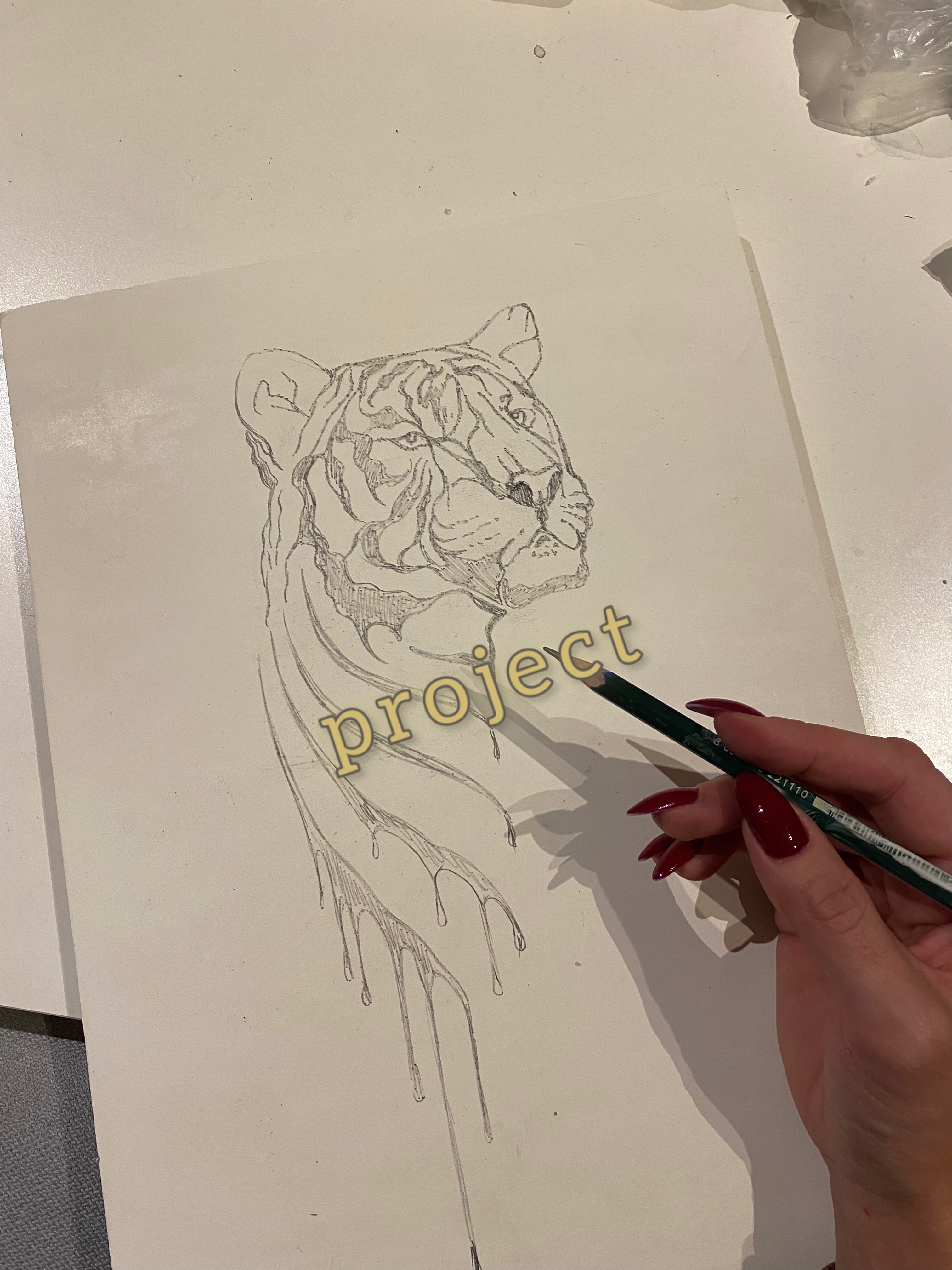 Veni vidi vici project